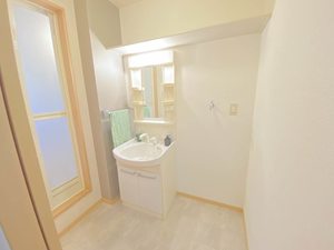 ロイヤル　フェルティ　Ｄ棟 D0202号-9