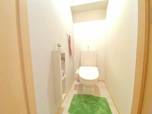 ロイヤル　フェルティ　Ｄ棟 D0202号-10