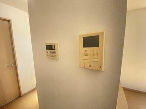 ロイヤル フェルティ F棟 F0101号-11