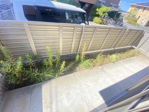 ロイヤル フェルティ F棟 F0101号-13