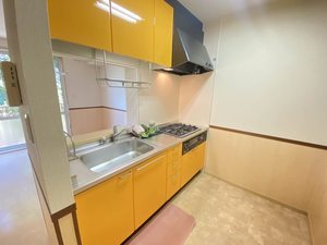 ブランシェTRK 201号-3