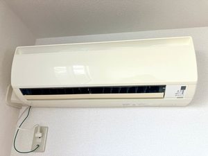 グランマスト1 B棟 B0201号-9