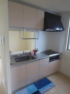 パインテイル D棟 D0102号-7