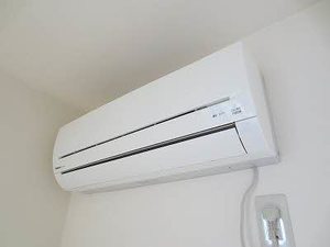 パインテイル D棟 D0102号-11