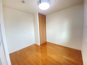 エルミタージュ 3番館 301号-4