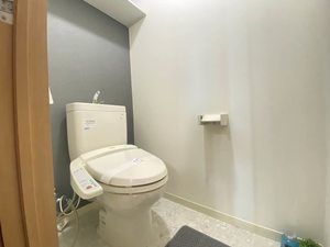 エルミタージュ 3番館 301号-11