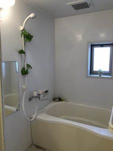 プランドール B棟 B0202号-4