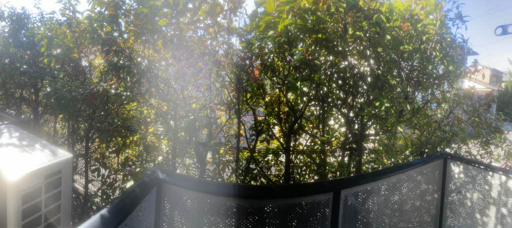 ディアス中塚　Ｂ棟 B0105号-12