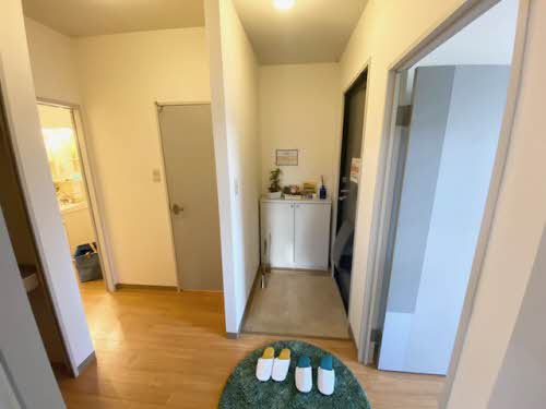 ジュネスタウン C棟 C0203号-3