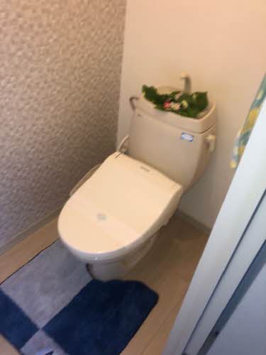 ラフォーレ　Ａ棟 A0202号-8