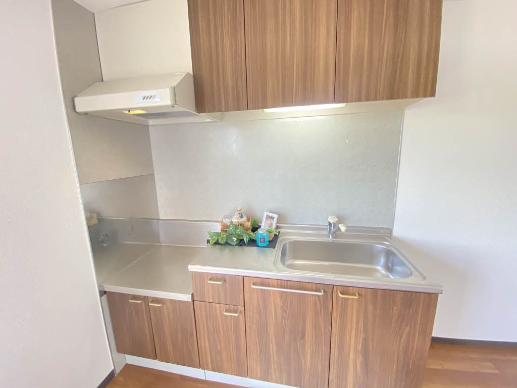 サテライトS 1棟 A0202号-2