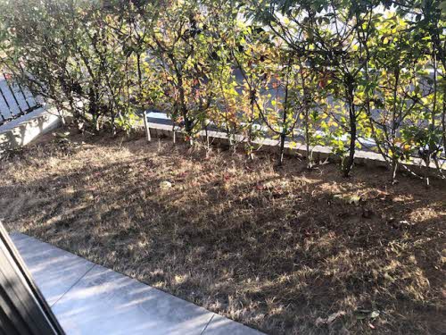 バリュージュJIN A棟 A0101号-3