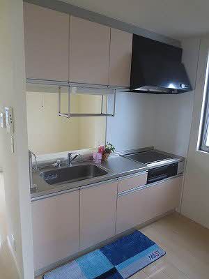 パインテイル D棟 D0102号-7