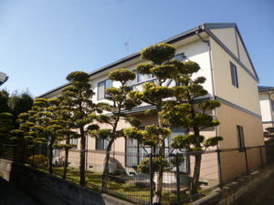 槇ハウスＪＵＮ　Ｂ棟