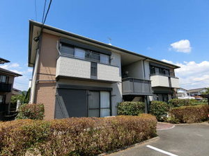 ヴェルデとんた　＊＊