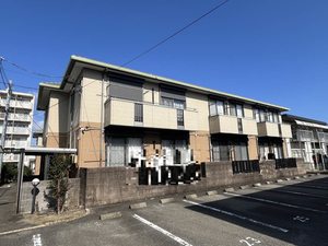 ルーチェレ・ドーマ　Ｃ棟 C0203号-1
