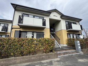 ミレニアミティ上津　Ｂ棟　＊＊ B0202号-1