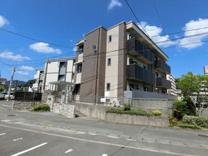 Ｇｒａｃｅ　Ｖｉｏｌｅｔ　＊＊