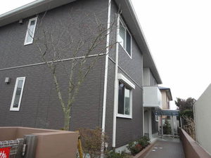 フェリシア　＊ A0102号-1