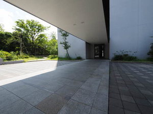 プライムメゾン百道浜 A1306号-12