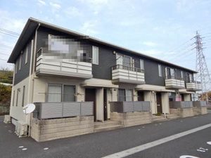 ヌアヌ　＊＊ C0203号-1