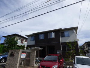 Ｓｏｌｅｉｌ　ｌｅｖａｎｔ白水　＊ A0101号-1