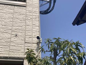 ブラン・べレオ A0302号-3