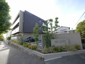 アロエ１　＊ A0101号-1