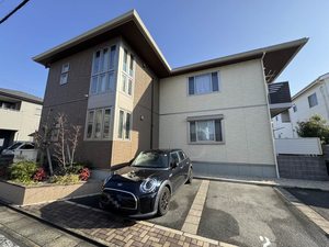 ルピナス　＊＊