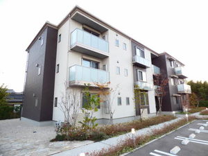 ベレオ大財