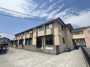 バリュージュＤ＆Ｍ　＊ A0202号-1