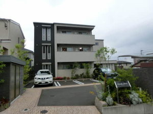 ｃａｍｅｌｉａ　ｂｌａｎｃ　＊＊