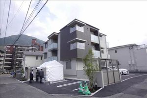 Ｈａｌｅ　Ｐｕｅｏ　＊ A0202号-1