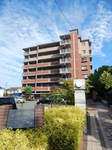 コスミオスコート A0602号-1