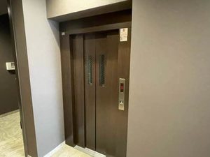 Ａｇｒｅａｂｌｅ　＊ A0202号-12