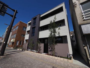 Ｌｅ　Ｃｏｔｏｎ　＊