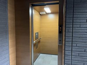 ＳｈａＭａｉｓｏｎ　春日　＊＊ A0203号-14