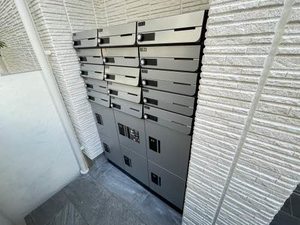 Ｓｈａｍａｉｓｏｎ　ＨＡＮＡＯＫＡ A0204号-14