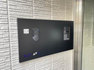 Ｓｈａｍａｉｓｏｎ　ＨＡＮＡＯＫＡ A0204号-13