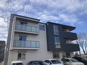 ＳｈａＭａｉｓｏｎ　ＡＬＩＶＩＯ　＊＊ A0101号-12