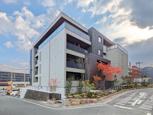 Ｐｌｕｍｊｕ． A0101号-1