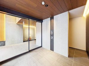 Ｐｌｕｍｊｕ． A0201号-14