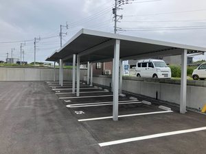 Ｓｈａｍａｉｓｏｎ　Ｐａｓｔｅｑｕｅ A0207号-14