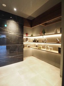 Ｓｈａｍａｉｓｏｎ　ｍａｕｖｅｉｎ A0205号-14