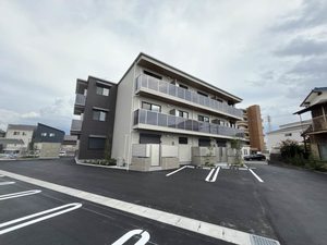 ＳｈａＭａｉｓｏｎ　Ｓ＆Ｔ