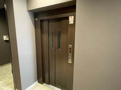 Ａｇｒｅａｂｌｅ　＊ A0202号-12