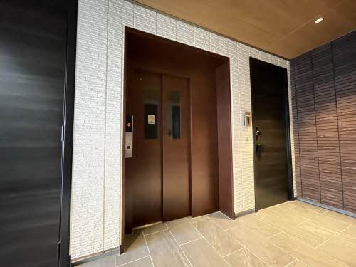 Ｓｈａｍａｉｓｏｎ　ＨＡＮＡＯＫＡ A0204号-12