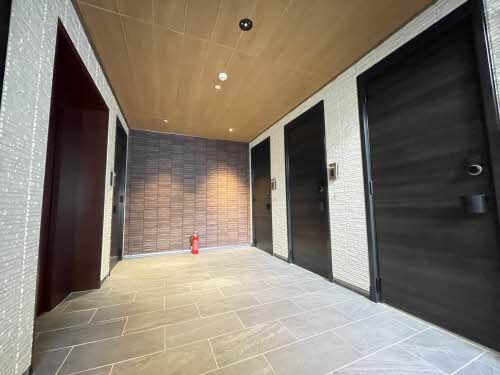 Ｓｈａｍａｉｓｏｎ　ＨＡＮＡＯＫＡ A0204号-15