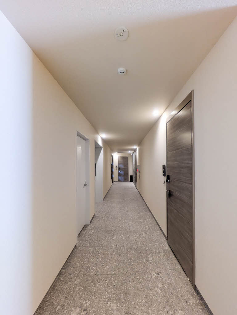 ベンガレンシス A0105号-14