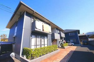 プランドール雄　＊